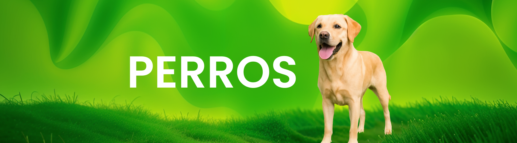 Banner Perro - Solvet
