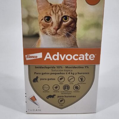 ADVOCATE PIPETA GATO 0–4KG