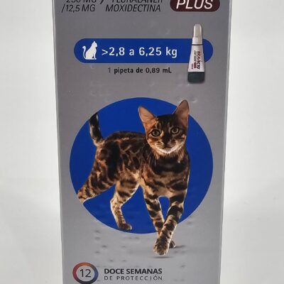 BRAVECTO PLUS GATOS 2.8 - 6.25 KG