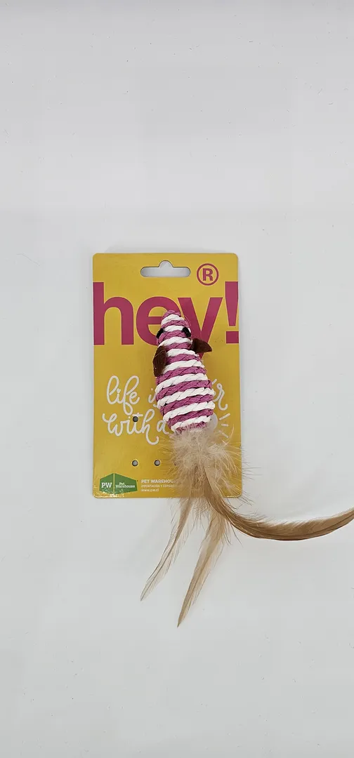 HEY RATON CON CUERDA Y PLUMAS