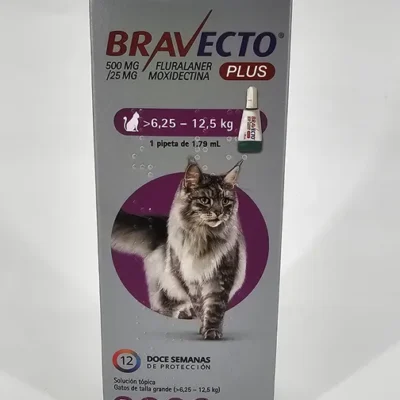 BRAVECTO PLUS GATOS 6.25 - 12.5 KG