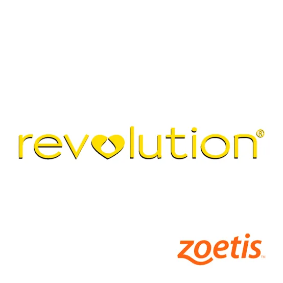 Revolution